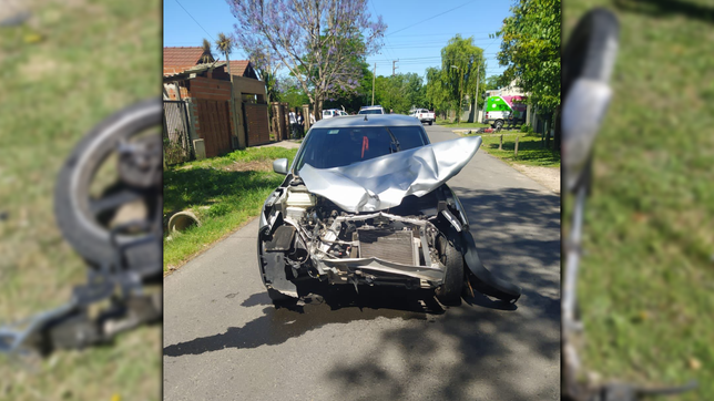 ¿quien era la chica de 17 anos que murio a metros del parque ecologico?
