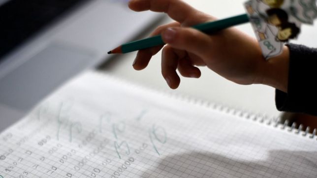 el gobierno culpo a macri por los malos resultados de las pruebas erce