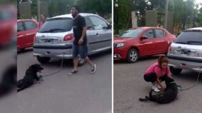 video: encadeno a su perro al auto y lo arrastro durante siete cuadras
