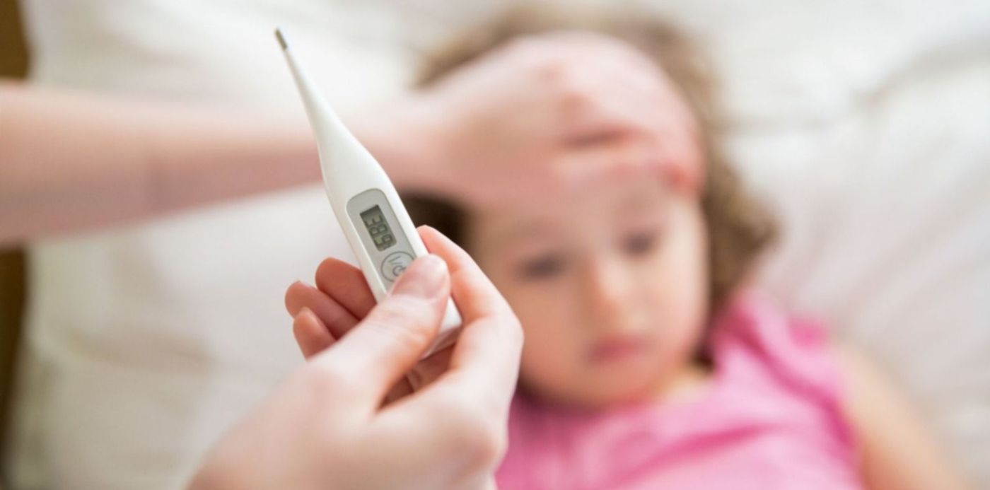 1574168984453.jpg?x=3&y=190&height=747&oh=1000&width=1493&rotate=0&scaleX=1&scaleY=1&ow=1500&&cw=1920&ch=950