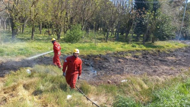 tension por un incendio de pastizales a metros de un jardin de infantes de la plata