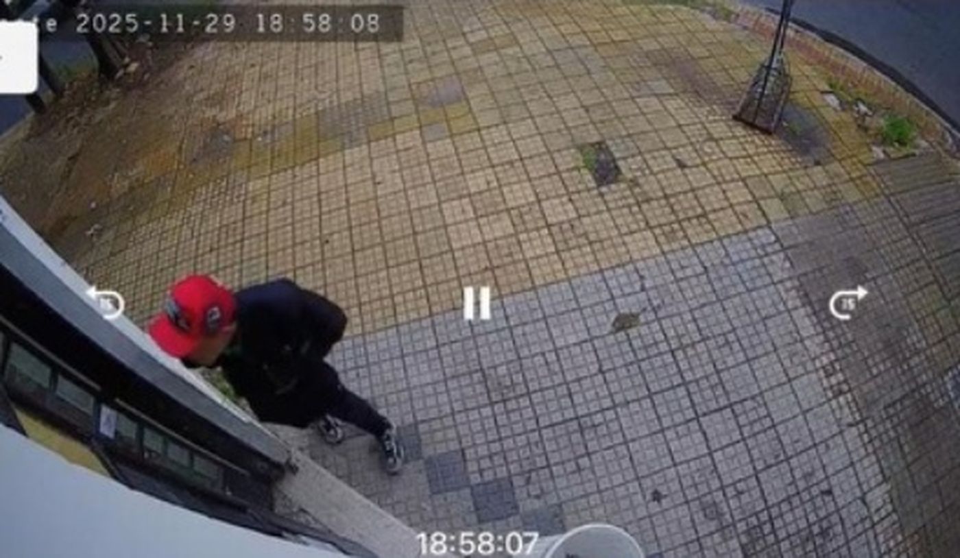 Gracias a las cámaras de seguridad, la Policía detuvo a los dos delincuentes de 20 años en La Plata.