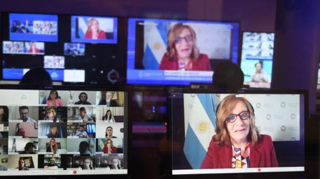 la defensora del publico de servicios de comunicacion audiovisual expuso en diputados