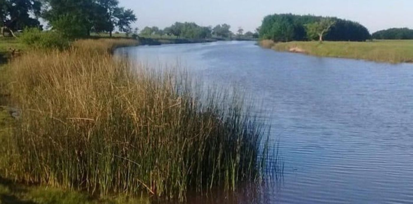 1600172615692.jpeg?x=4&y=43&width=716&height=358&rotate=0&scaleX=1&scaleY=1&ow=720&oh=477&&cw=1920&ch=950