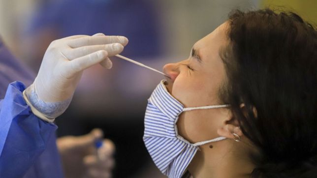 coronavirus en argentina: notificaron 43 fallecidos y 5.615 contagios