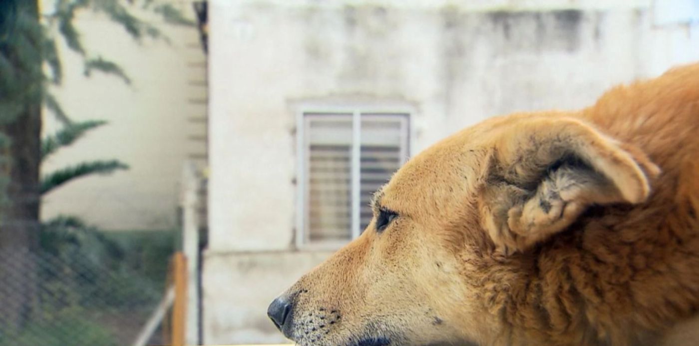 1576788647746.jpg?&cw=1920&ch=950