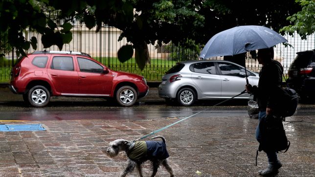 con chances de tormentas, asi estara el clima en la plata durante toda la semana