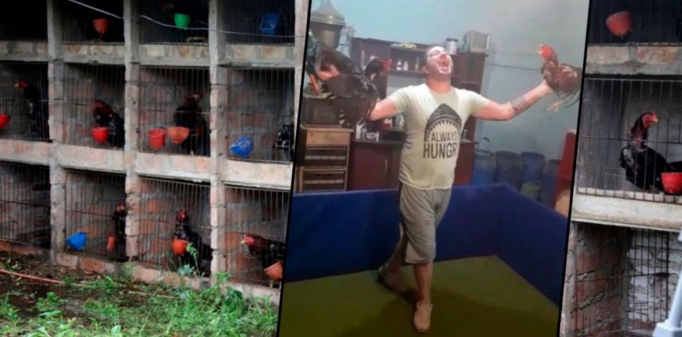 1603495386372.jpg?x=24&y=6&width=1452&height=726&rotate=0&scaleX=1&scaleY=1&ow=1500&oh=742&&cw=1920&ch=950