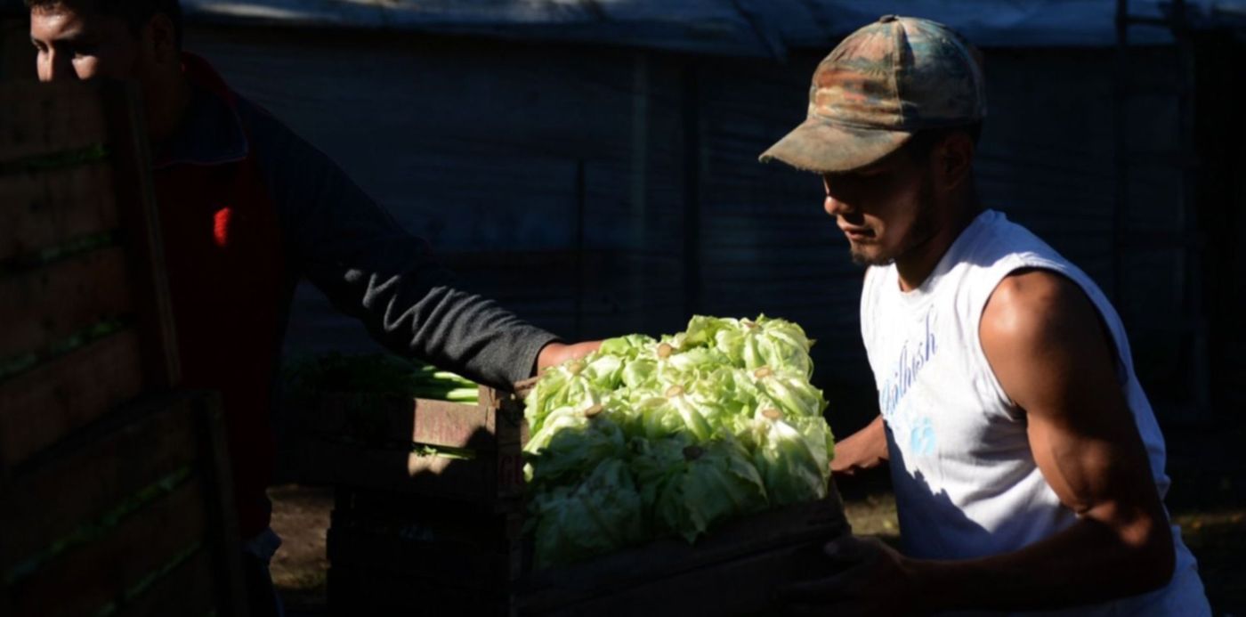 1588263935167.jpg?x= 10&y=144&width=1513&height=756&rotate=0&scaleX=1&scaleY=1&ow=1500&oh=1041&&cw=1920&ch=950