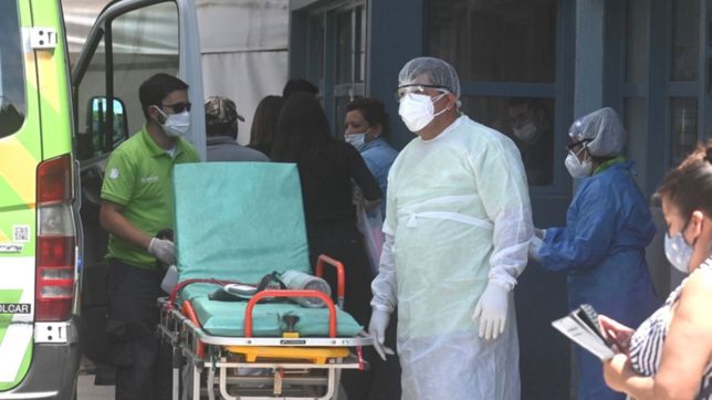 covid-19 en la plata: otro record de contagios y el numero mas alto de muertos en 4 meses