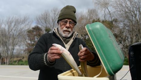 Un pescador de La Plata halló un pez que podría transformar el ecosistema  del Río de la Plata para siempre