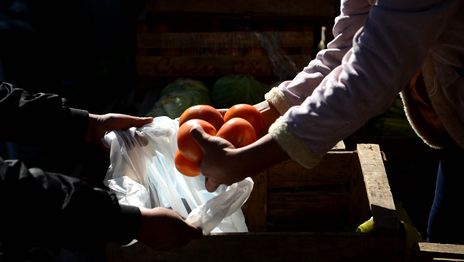 Verduras Verdurazo (3).JPG