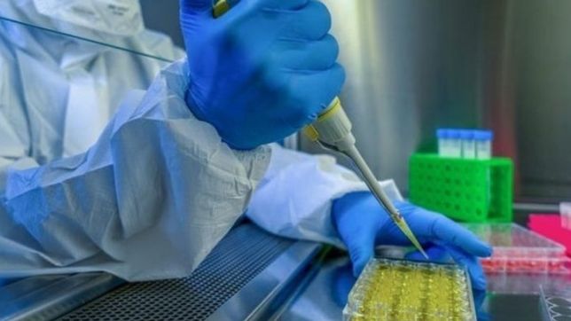 cientificos advirtieron sobre un nuevo brote de un virus mortal parecido al ebola