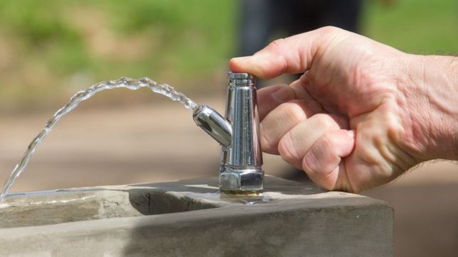ya existe desde 1999 una ordenanza para que haya bebederos en las plazas... y no se cumple