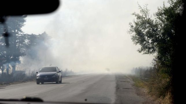 ola de calor extremo en la plata: se desato un impresionante incendio en estancia chica