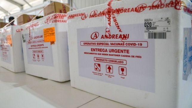 asi llegaron las vacunas contra el coronavirus al hospital san martin