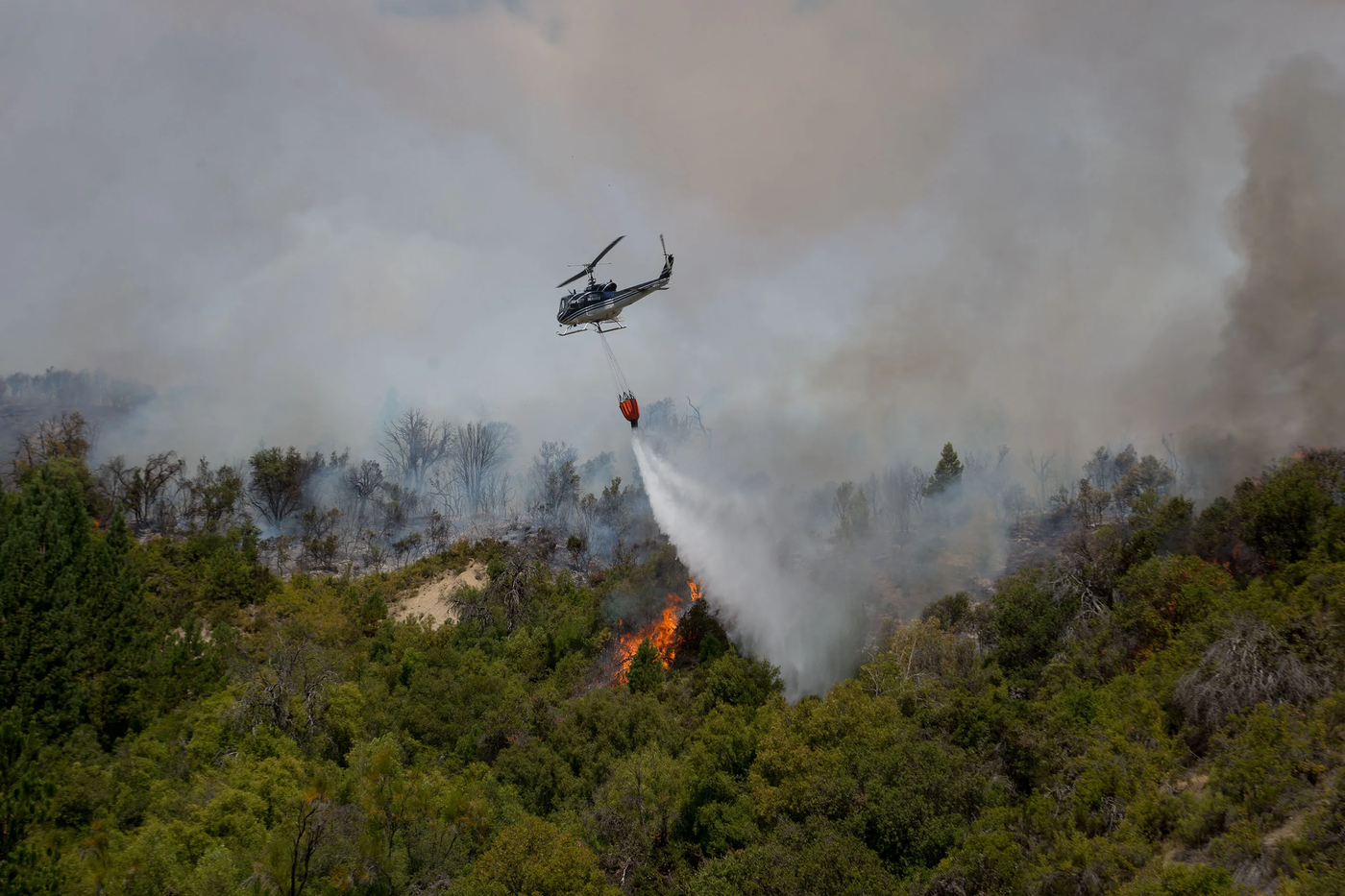 Incendio en El Bolsón.webp