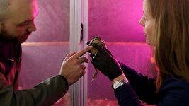 cientificos de la unlp investigaron como afectan los factores de estres ambiental en la plata cientificos de la unlp investigaron como afectan los factores de estres ambiental en la plata