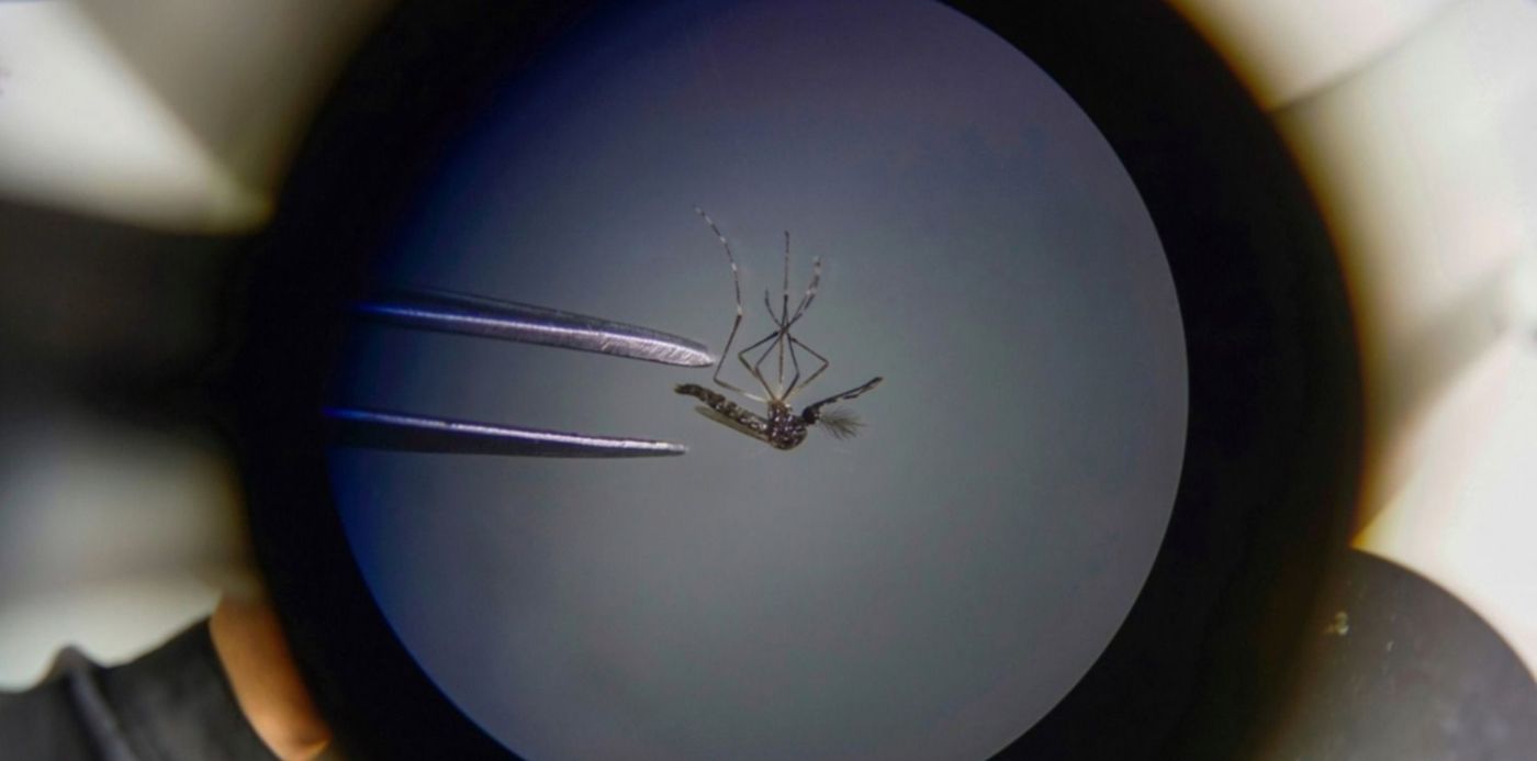 1681844307246.jpeg?x= 10&y=116&width=1507&height=753&rotate=0&scaleX=1&scaleY=1&ow=1500&oh=999&&cw=1920&ch=950