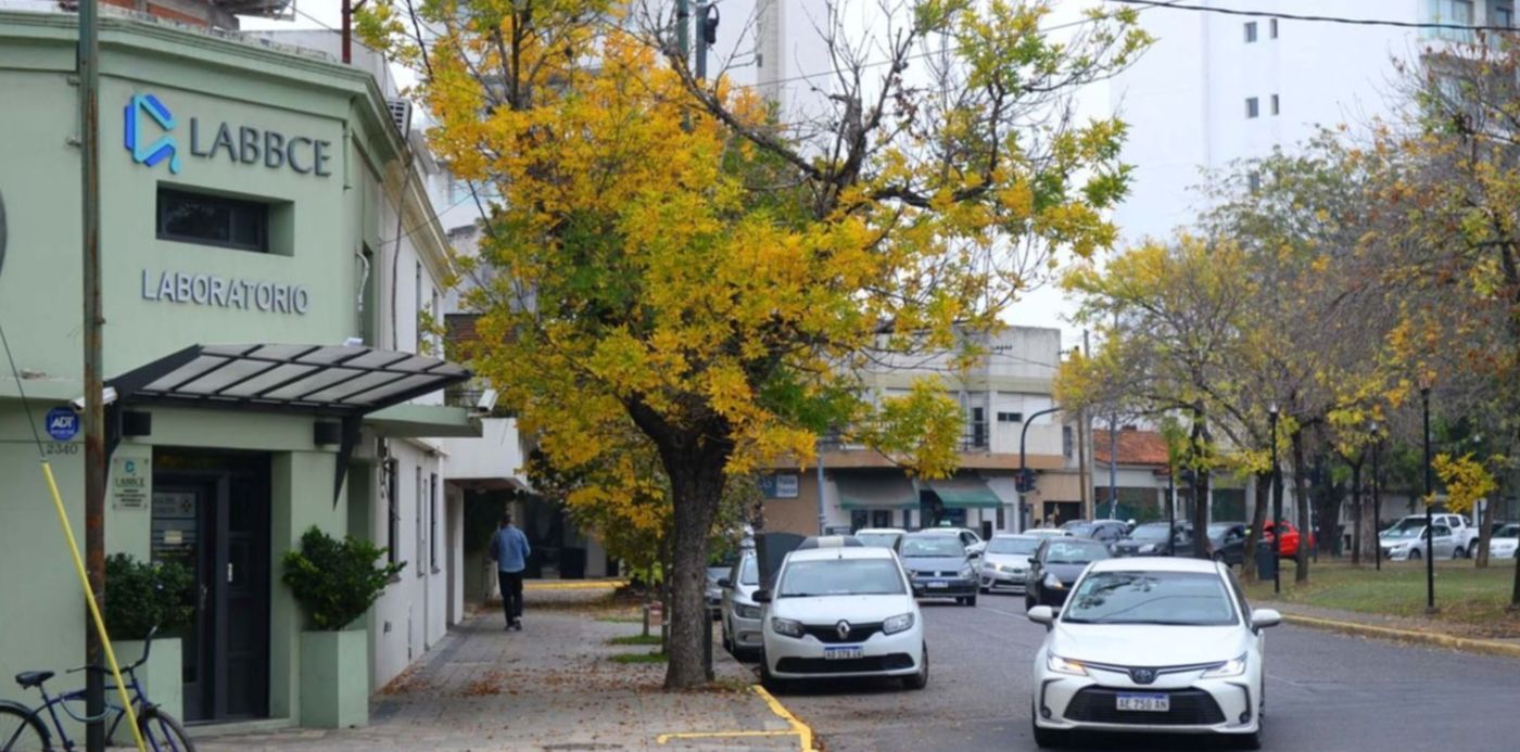 Clima Otoño Nublado Hojas