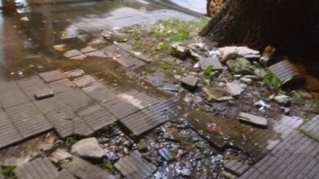 hace seis meses hay un cano roto en una vereda de la plata y cuatro casas siguen sin agua