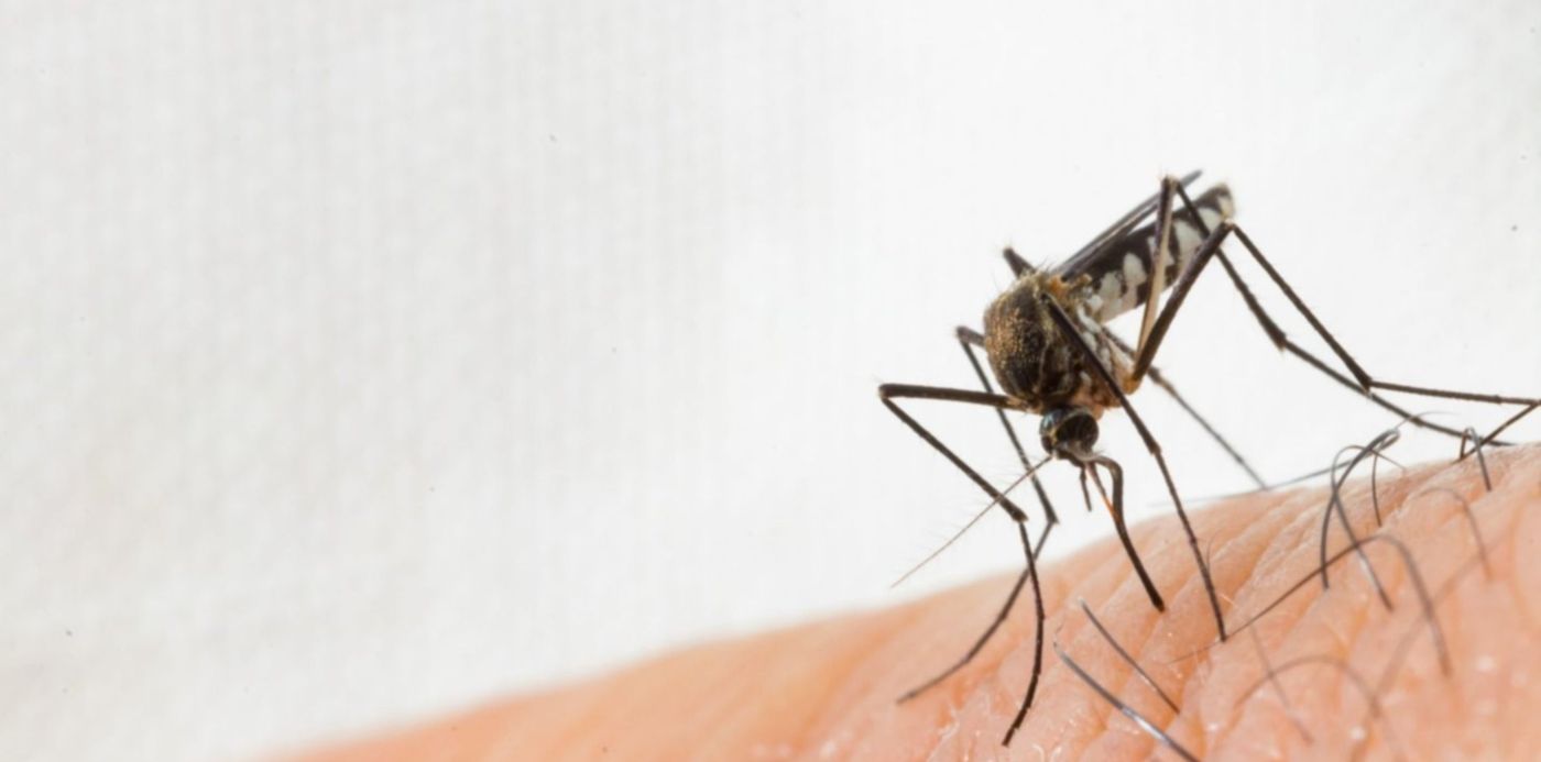 1680863906778.jpg?x= 15&y=170&width=1493&height=747&rotate=0&scaleX=1&scaleY=1&ow=1500&oh=917&&cw=1920&ch=950