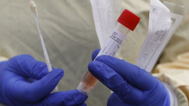 tras un mes de meseta, finalmente caen los contagios de coronavirus en la plata