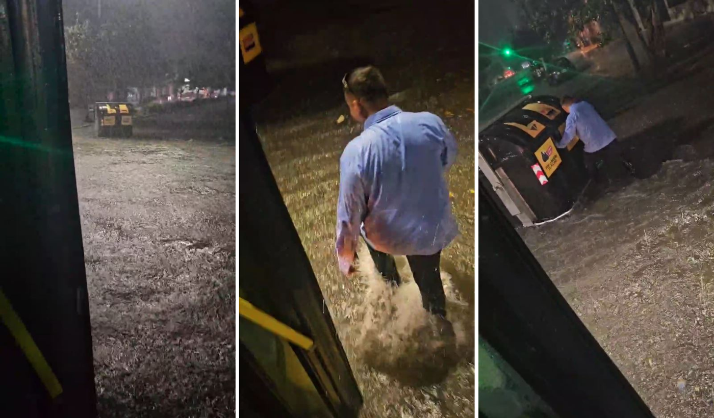 Chofer vs. contenedor.png