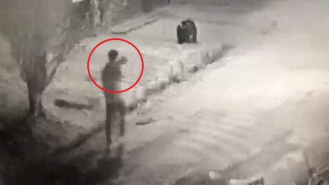 video: asi se robaron dos pequenos bulldog franceses de una casa de la plata