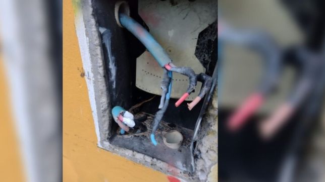 tras otro ataque vandalico, restablecen la energia en la estacion de bombeo de ringuelet