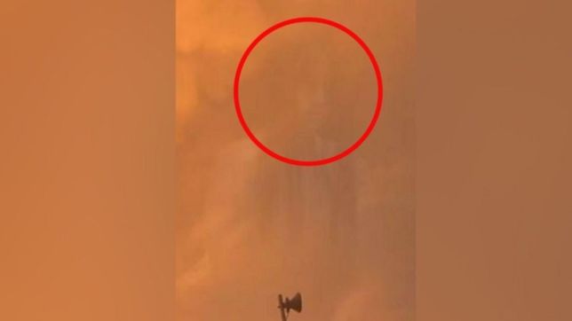 el llamativo descubrimiento de un chico en los cielos de la plata