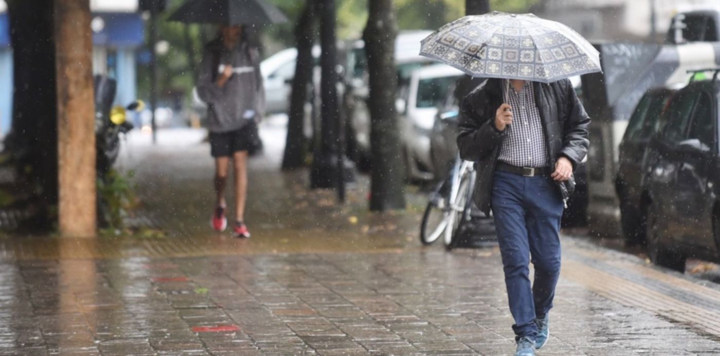 1647735424056.jpg?x=7&y=395&width=1485&height=742&rotate=0&scaleX=1&scaleY=1&ow=1499&oh=1191&&cw=1920&ch=950