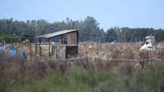video: tension, enfrentamientos y detenidos en una toma de terrenos en la plata