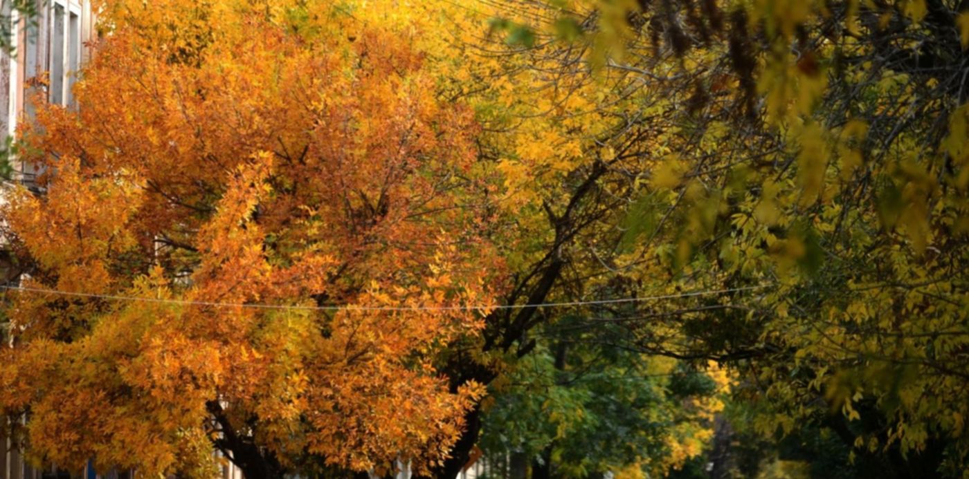 1587694284712.jpg?y=250&width=1486&rotate=0&oh=996&x=4&scaleX=1&scaleY=1&ow=1500&height=743&&cw=1920&ch=950