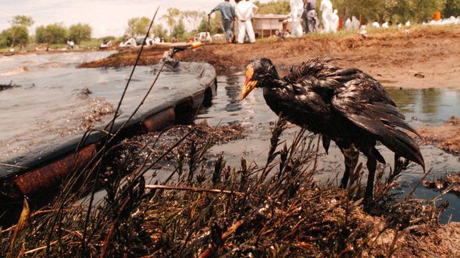 el derrame de magdalena y el recuerdo de la tragedia ambiental que sacudio al pais