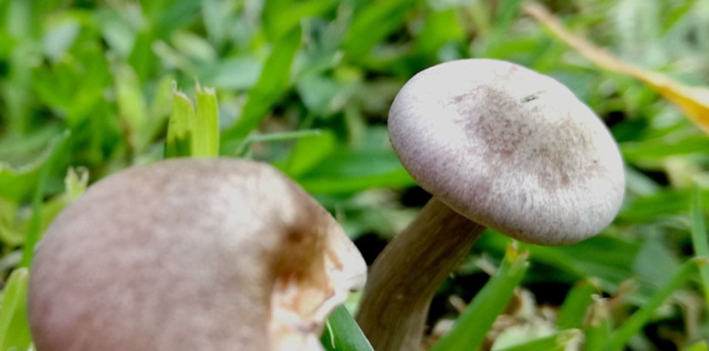 1526417829374.jpg?&cw=1920&ch=950