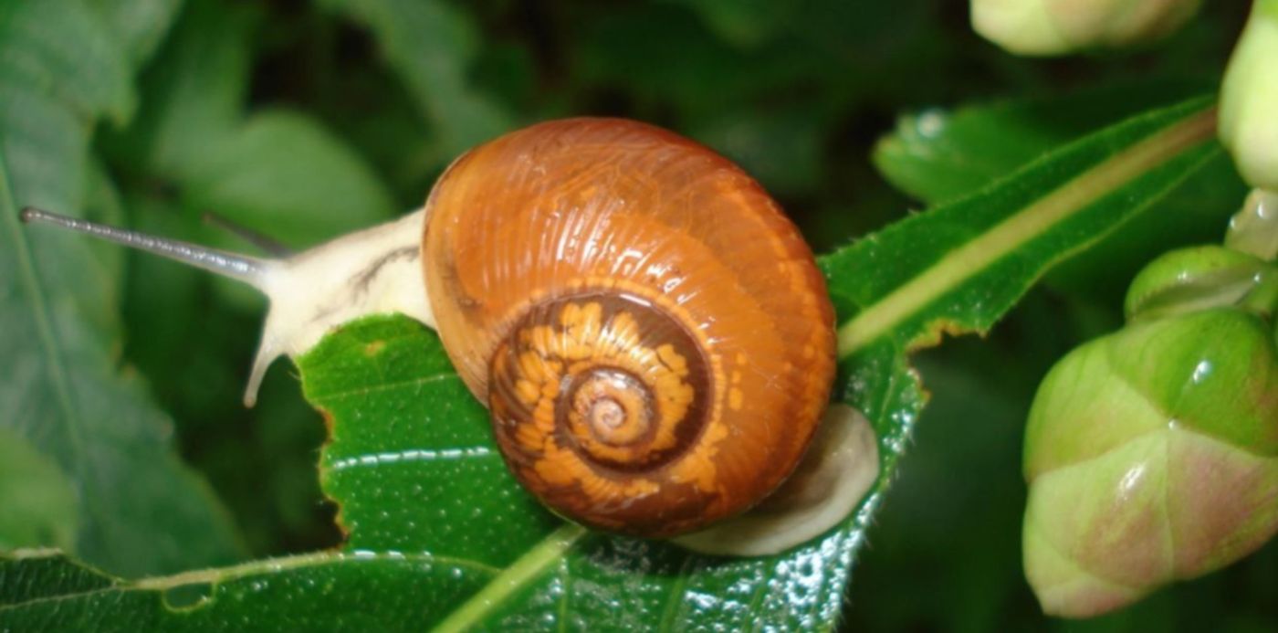 1571707462415.jpg?y=175&width=1239&height=620&rotate=0&scaleX=1&ow=1240&x=0&oh=927&scaleY=1&&cw=1920&ch=950