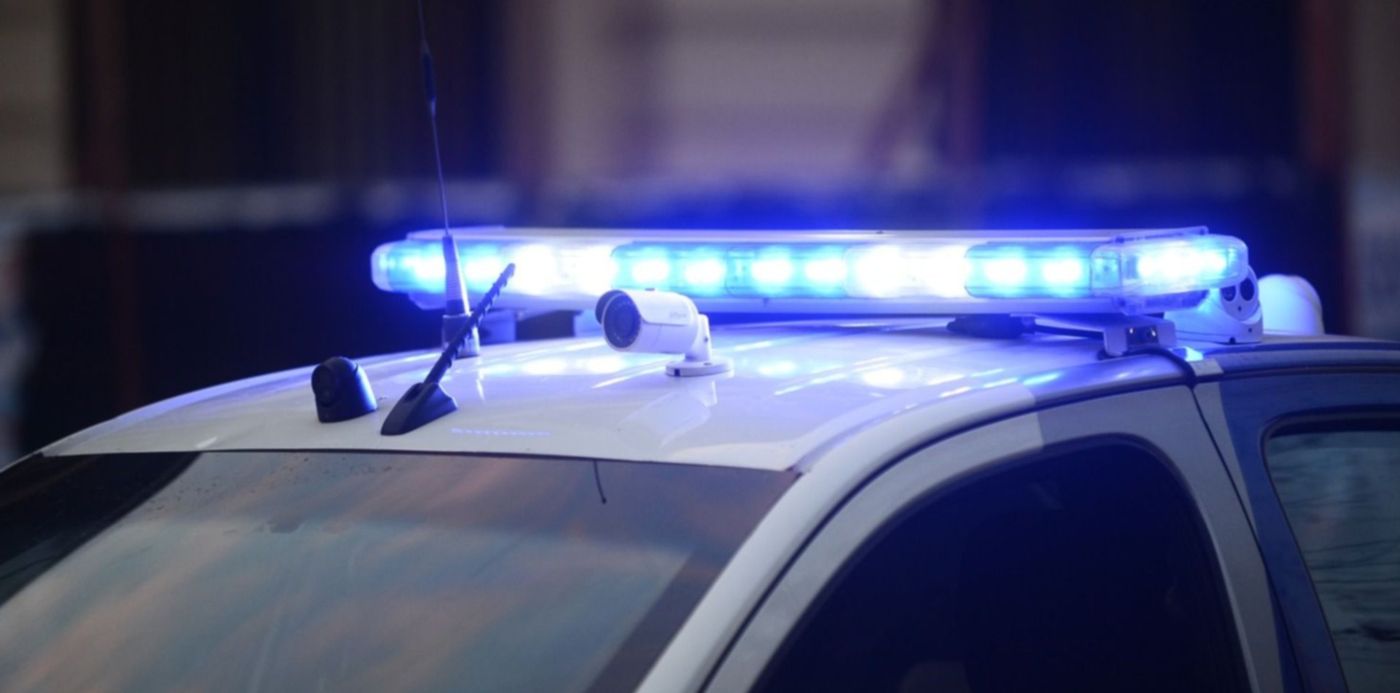 1558128445868.jpg?width=1486&scaleX=1&scaleY=1&ow=1500&oh=996&x=7&height=743&rotate=0&y=158&&cw=1920&ch=950