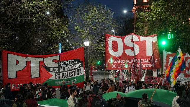 militantes se movilizaron tras el abordaje israeli a la flotilla sumud donde viaja un capitan platense