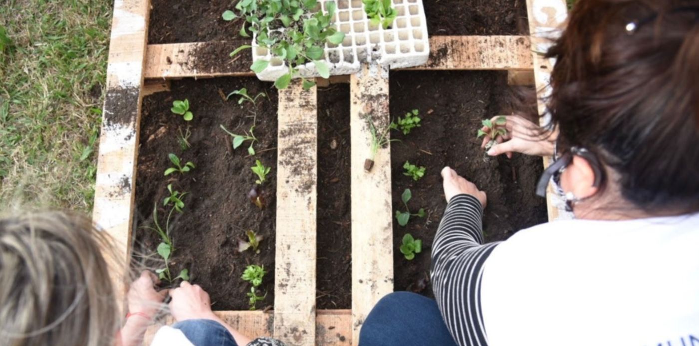 1592495210039.jpg?width=1458&height=729&scaleY=1&ow=1471&oh=980&x=10&y=26&rotate=0&scaleX=1&&cw=1920&ch=950