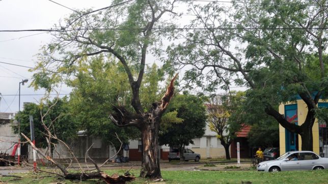 la plata: a casi 6 anos de la fatal inundacion, empresas de servicios no dan respuesta a la urgencia