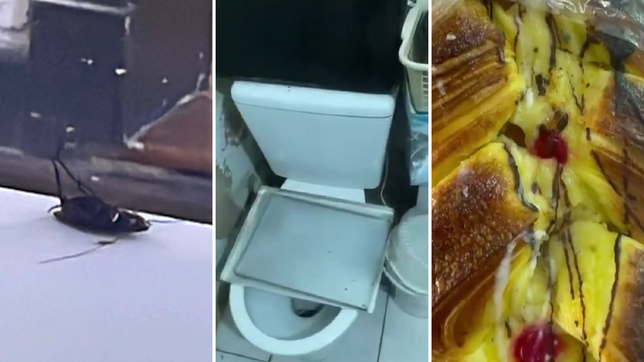 las fotos y los videos de la panaderia clausurada por graves problemas de higiene