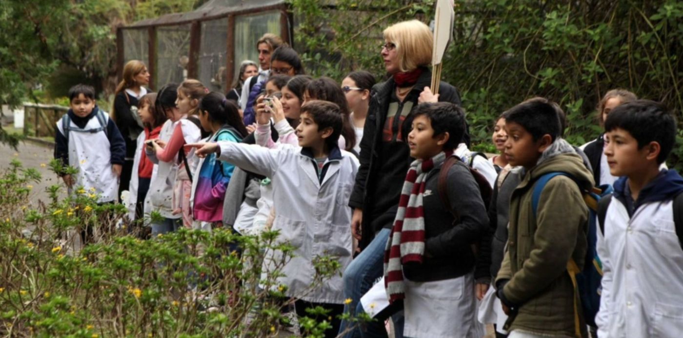 1686179928602.jpeg?x=22&y=171&width=1463&height=732&rotate=0&scaleX=1&scaleY=1&ow=1500&oh=1040&&cw=1920&ch=950