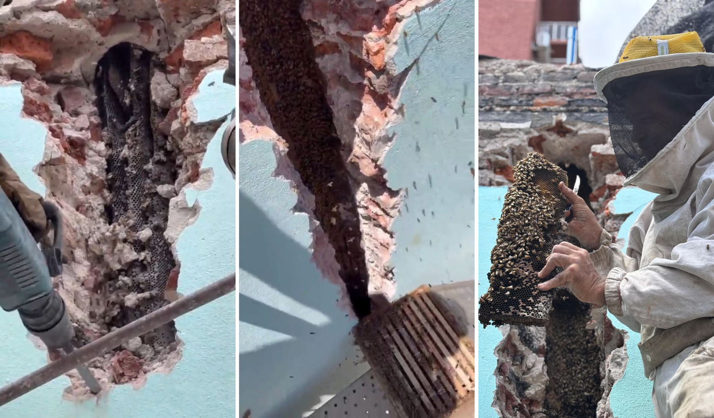 La colmena gigante en Barracas.png