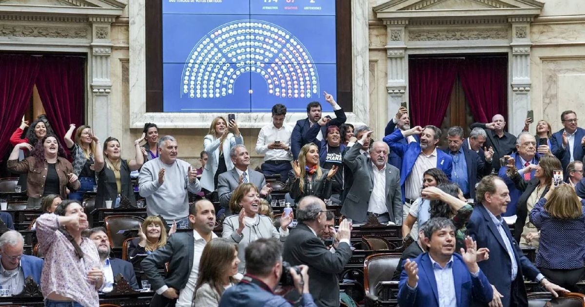 ¿Qué dice y por qué es clave el artículo de la Ley de DNU que la ...