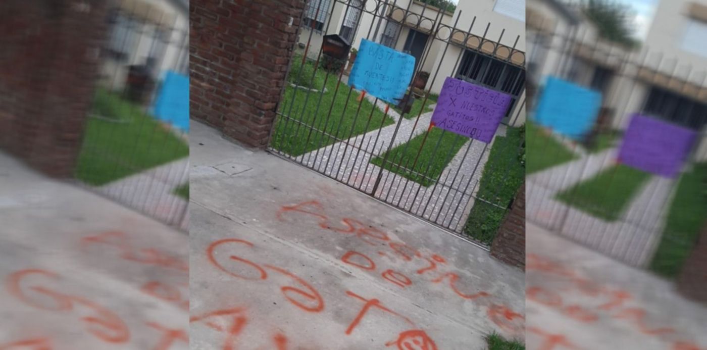 1648655546399.jpg?x=18&y=0&width=1479&height=740&rotate=0&scaleX=1&scaleY=1&ow=1500&oh=742&&cw=1920&ch=950