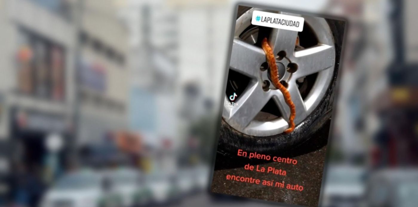 1650482628524.jpg?x=3&y=120&width=1494&height=747&rotate=0&scaleX=1&scaleY=1&ow=1500&oh=1001&&cw=1920&ch=950