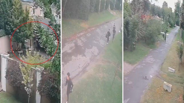 una banda de saltamuros ataco en una zona de villa elisa y quedo filmada