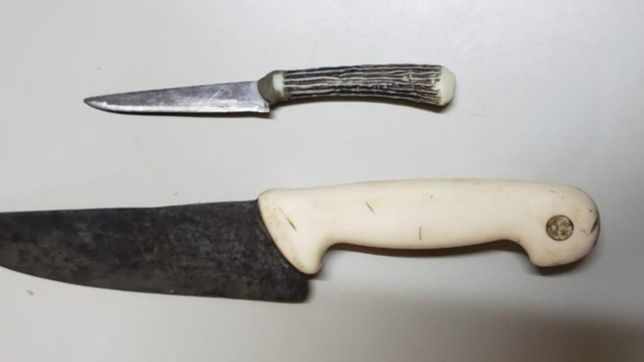 una joven borracha amenazo a su tio con dos cuchillos y fue detenida en la plata