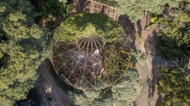confirman la reapertura del bioparque de la plata: ¿quienes seran los primeros en entrar?